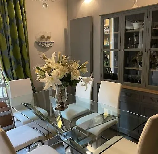 Nel Cuore Di 볼로냐